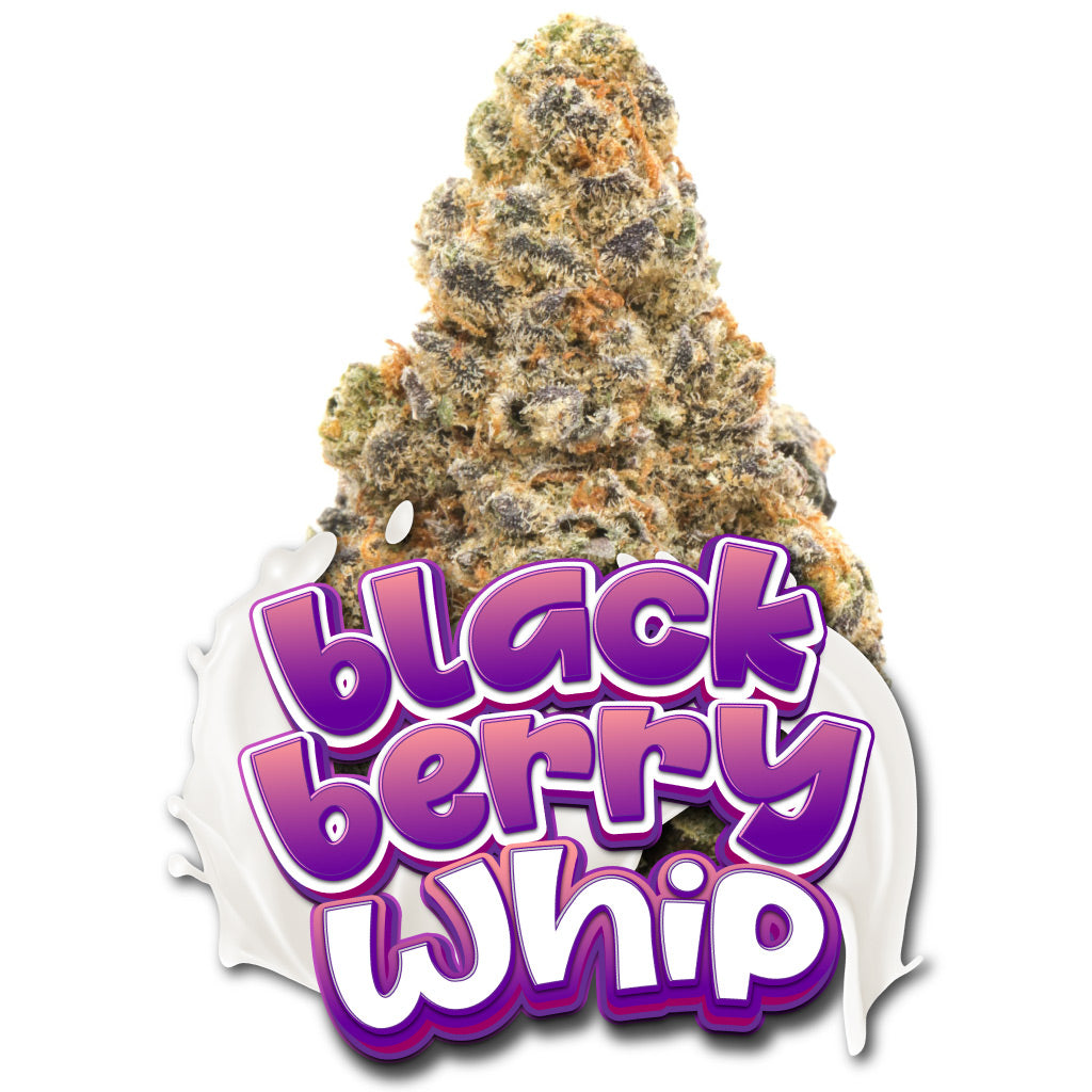 BlackBerry Whip