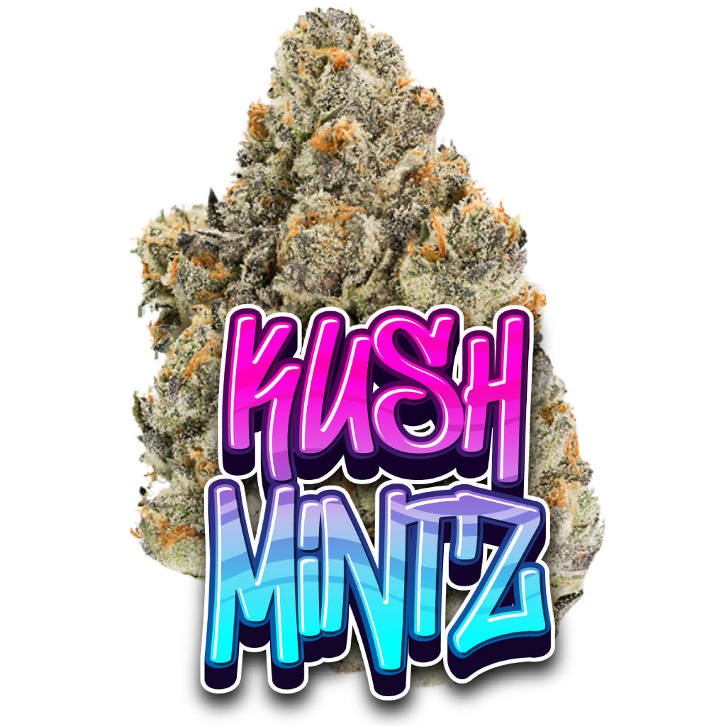 Kush Mintz
